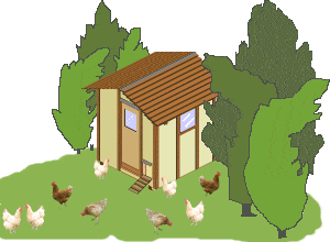 Chicken Coop Image