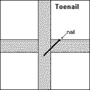 toenail