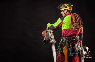 Best Chainsaw Chaps