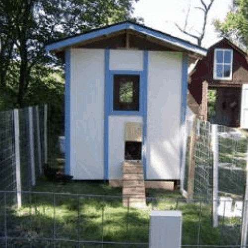 Chicken Coop