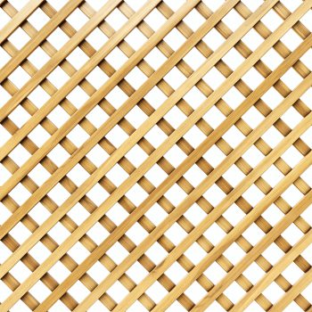 lattice