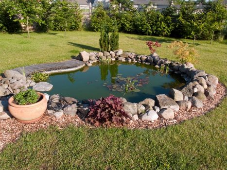 Garden Pond