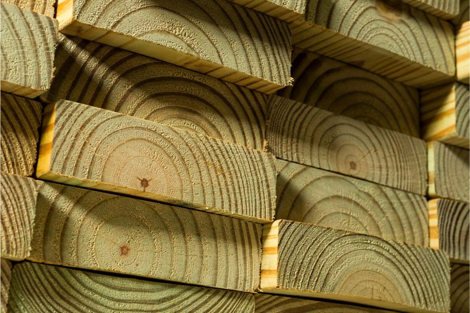 How To Protect Wood From Carpenter Bees BuildEazy