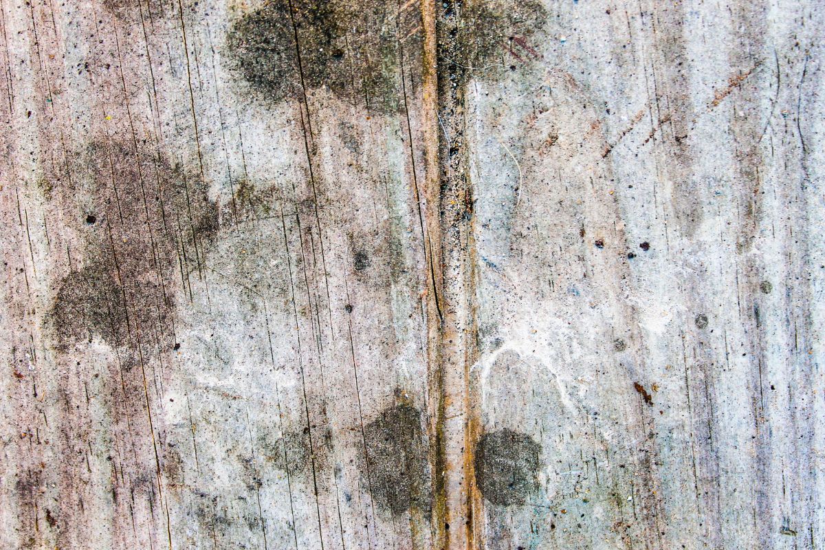 How To Remove Water Stains From Wood