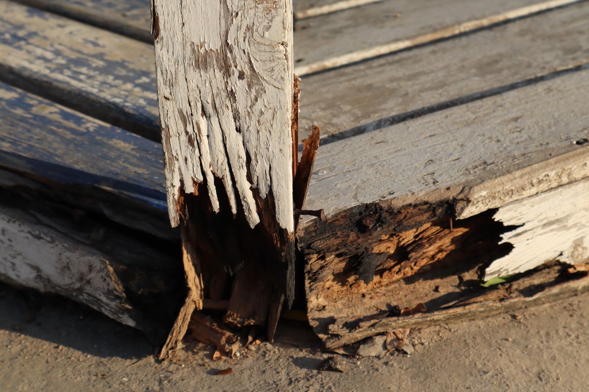 How To Repair Rotting Wood Without Replacing It