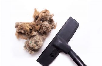 How to Clean Shop Vac Filter