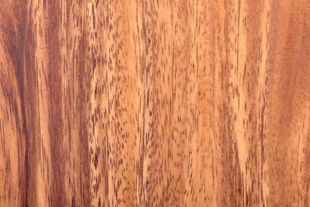 Main Disadvantages Of Acacia Wood