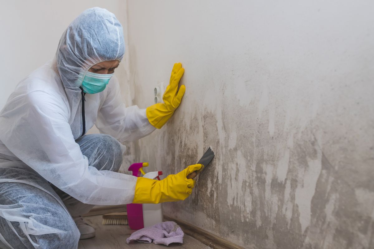 Methods For Removing Mold From Wood In Your Home