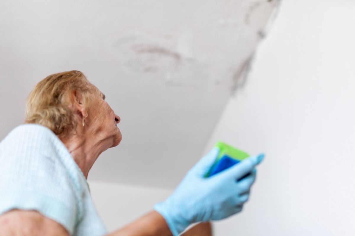 Preventing Future Mold Growth