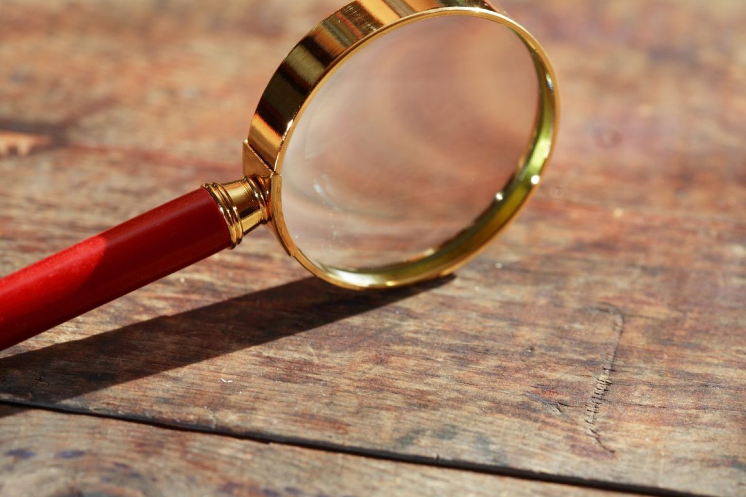 How To Identify Petrified Wood BuildEazy