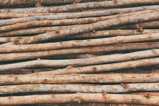 Why Is Teak Wood Expensives