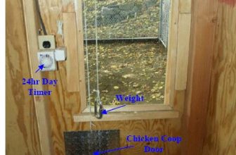automatic-chicken-door