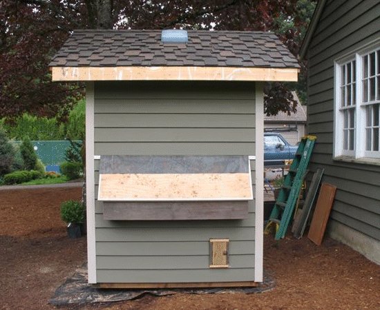 How to Build a Chicken Coop that will Make them Lay Eggs