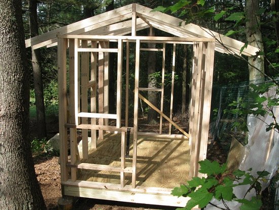 How to Build a Chicken Coop that will Make them Lay Eggs