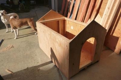 🔨 Building a Doghouse | BuildEazy