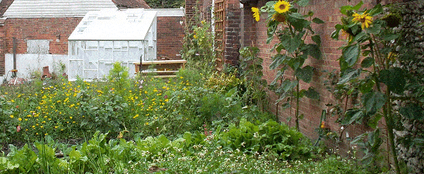 glasshouse start