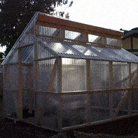 greenhouse 7