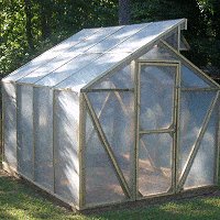greenhouse 9