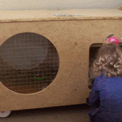 rabbit hutch rabbit and girl at door