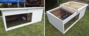 Guinea pig hutch