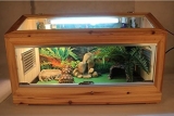 How To Build A Bearded Dragon Cage Out Of Wood