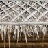 How To Get Rid Of Wood Bees