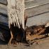 How To Get Wood Glue Out Of Clothes