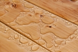 How To Waterproof Wood