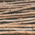 How Long Does Wood Glue Last?