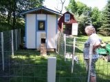 How to build a Chicken Coop