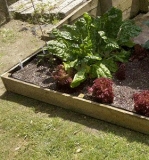 How to make a Veggie / Herb Box